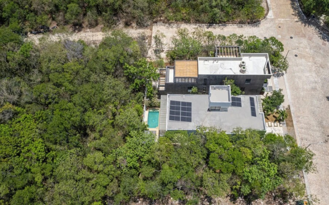 Senderos De Ciudad Mayakoba