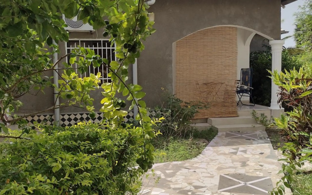 Real Owl Guest House