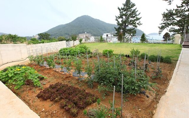 Yeosu Sea Side Pines Pension