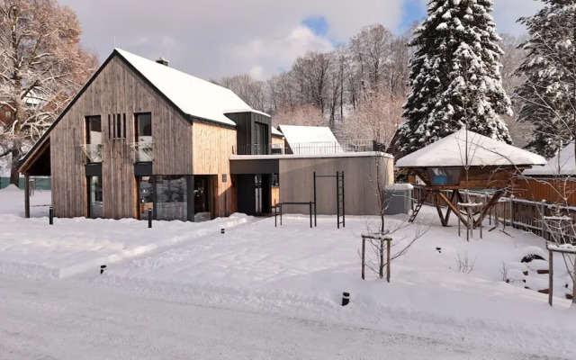 Villa With Fireplace in Cerny Dul