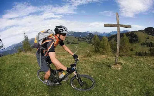 Wohlfühlgasthof Friedlwirt