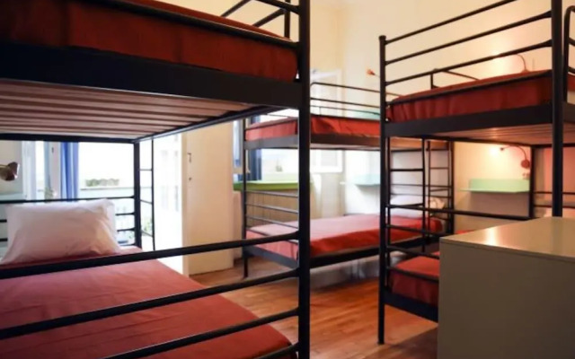Chameleon Youth Hostel - Hostel