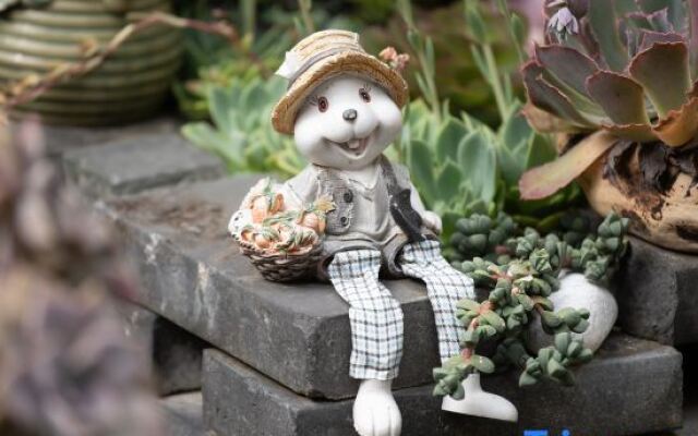 TaiShidi Think House garden