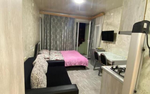 Apartment studio maksim