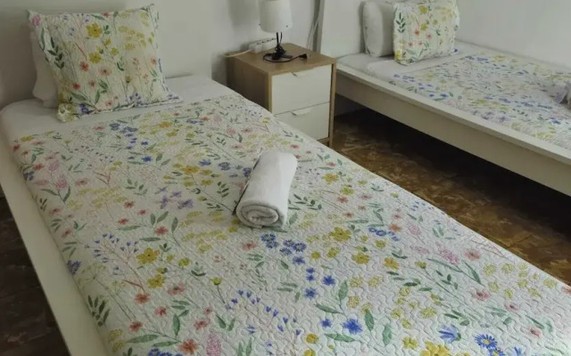 Central and Basic Drassanes