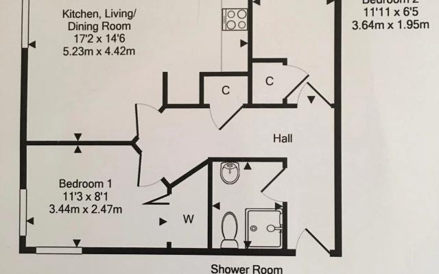 The Little Beech Tree