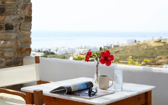 Dinora Villa