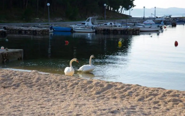 Charming Apartments Dokoza Drage