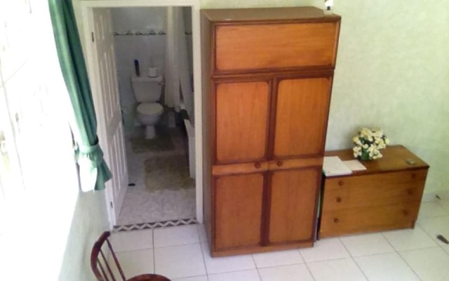 Palm Paradise Guest House and 2 Apartments