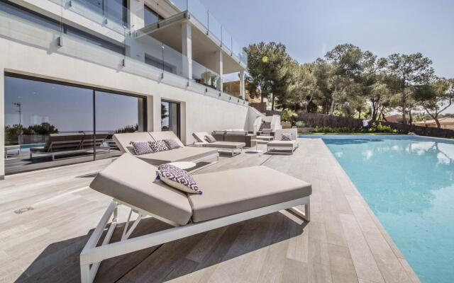 TH85-Limonium-9 in Tarragona