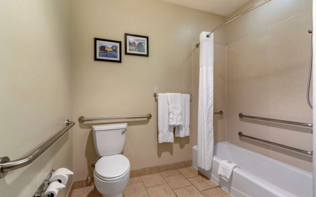 Comfort Suites Buda - Austin South