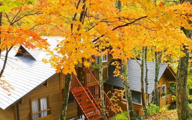 Elsass Club Hotel