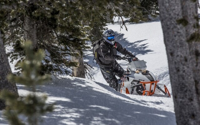 Hickory-dickory Hollow