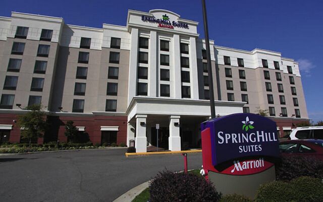 SpringHill Suites by Marriott Norfolk Virginia Beach