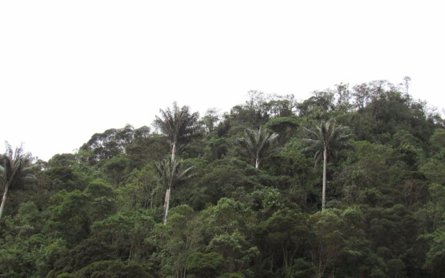 Finca Los Arboles