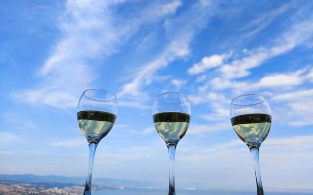 Uphill Opatija Apartment