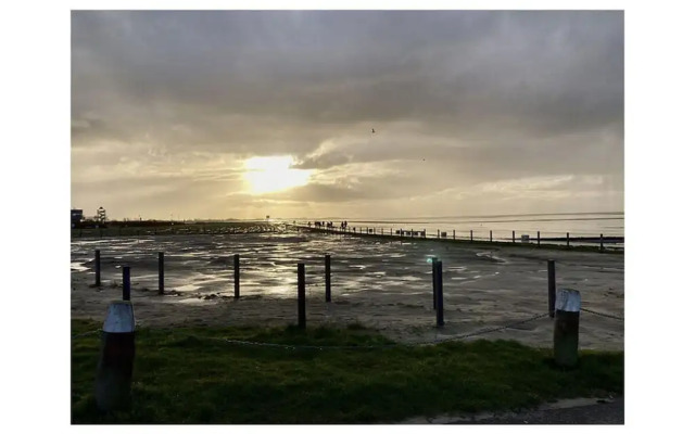 Dandelion Modern Retreat