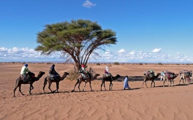 Bivouac Cherg Expeditions