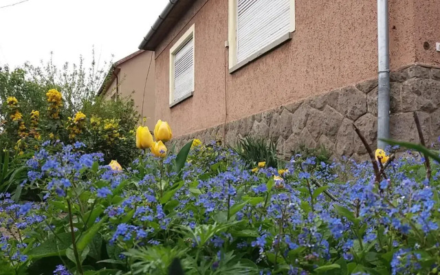 Nagyiék háza / Granny's House