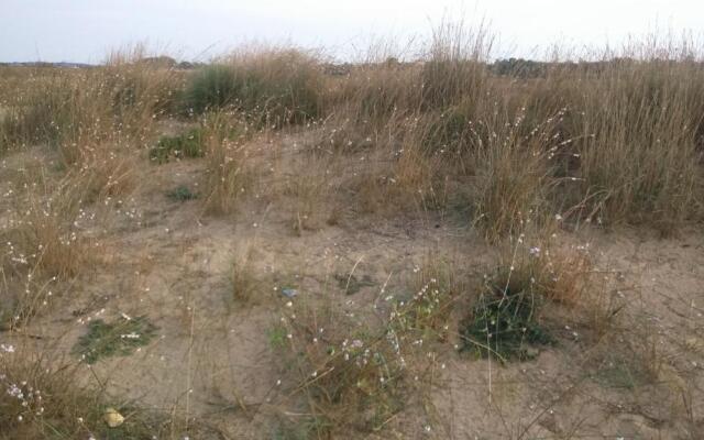 Apartments Ninske Vodice