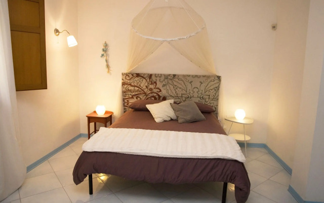 All'ombra del palmeto