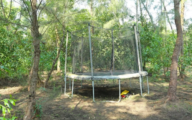 Hotel Jungle Camp