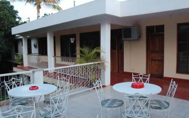 The Pink Daisy Bed and Breakfast