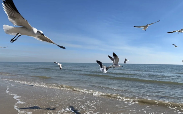 Out by the sea Bed & Breakfast