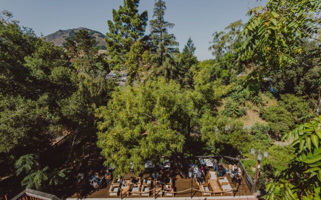 SLO Brew Lofts