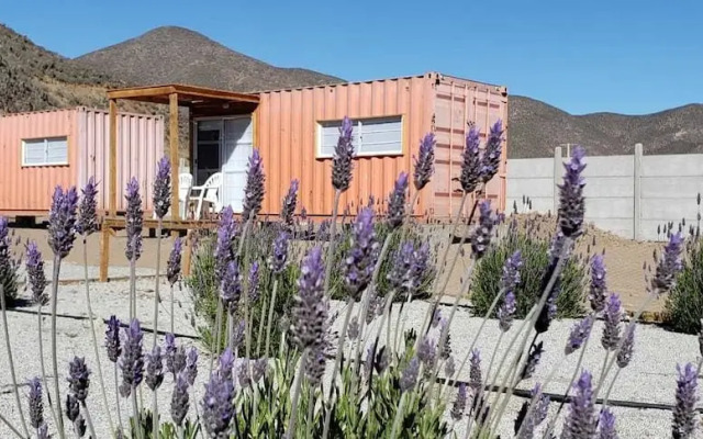 B&B Lavanda del Valle