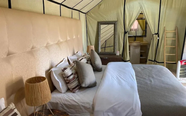 Arena Desert Camp & Activitys