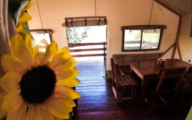 Sunflower Camping