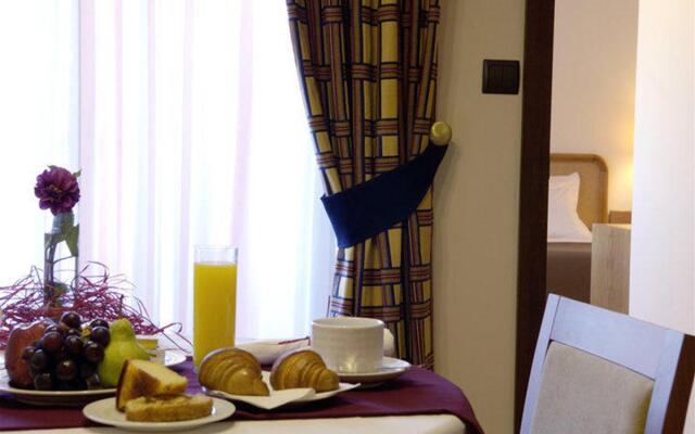 Palace Hotel & Spa Termas de São Vicente