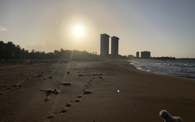 Ocean View Gorgeous 1 Bedroom Apt