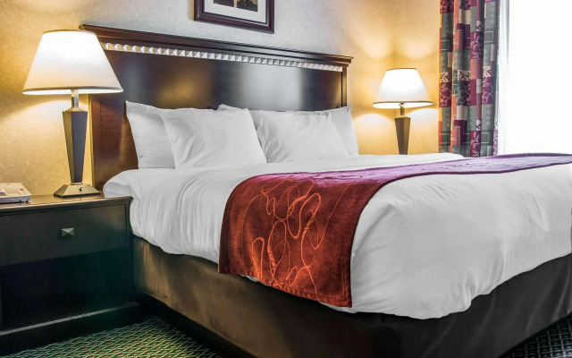 Comfort Suites Canton - Detroit