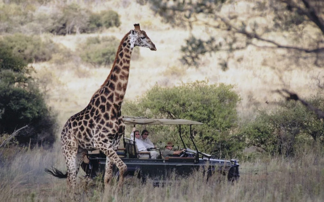Makweti Safari Lodge