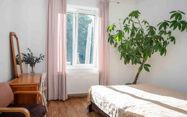 Charming apartment in the city center