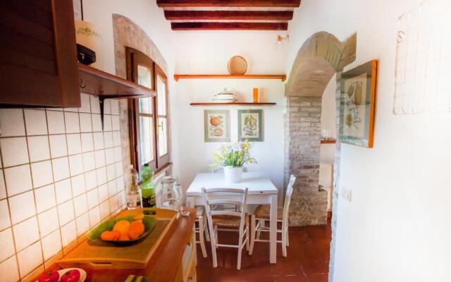 Bio Tenuta di Paganico - I Roggeti