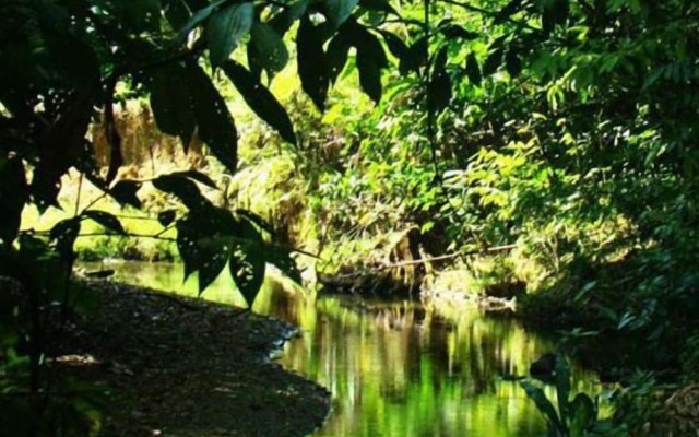 La Gamba Rainforest Lodge