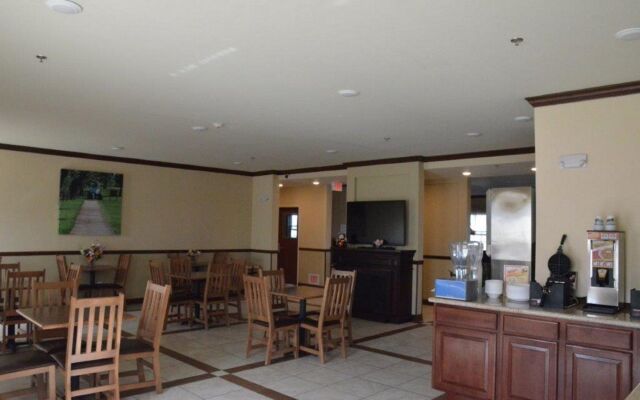 Spark by Hilton Minot