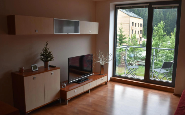 Apartment Mumlava falls