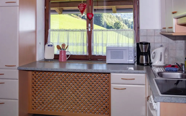 Cozy Apartment in Mühlbach with Garden near Ski Slopes