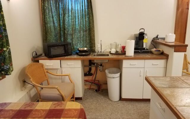 Denali Touch of Wilderness