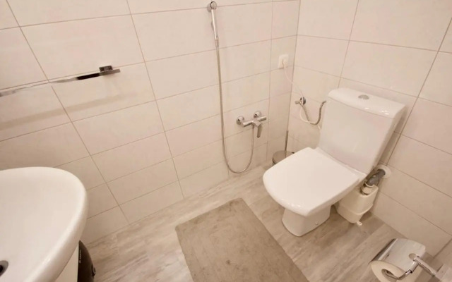 Albina apartment