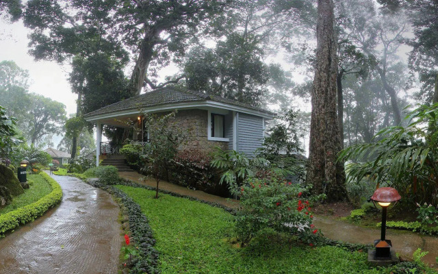 The Tall Trees Munnar