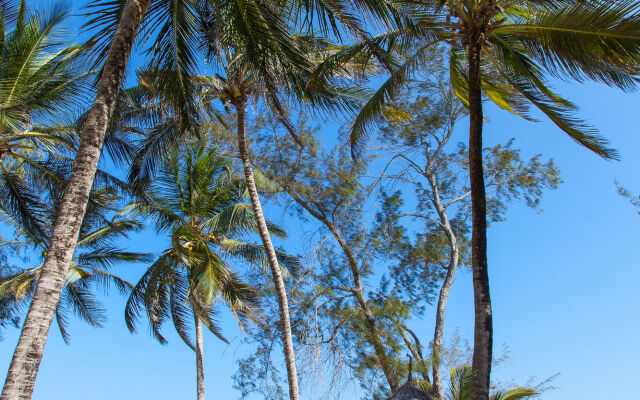 Turtle Bay Beach Club