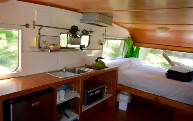 Bimbi Park - Camping Under Koala