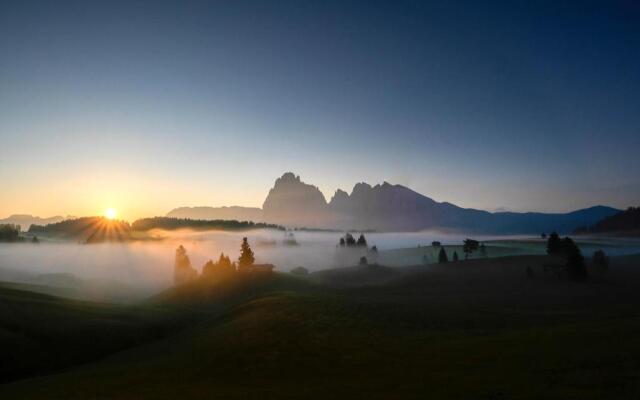 Artnatur Dolomites