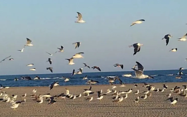 Apartamento en Isla Canela