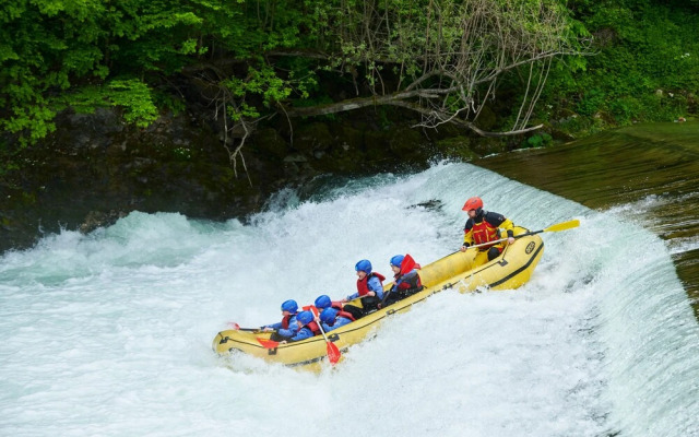 Forest Camping Mozirje